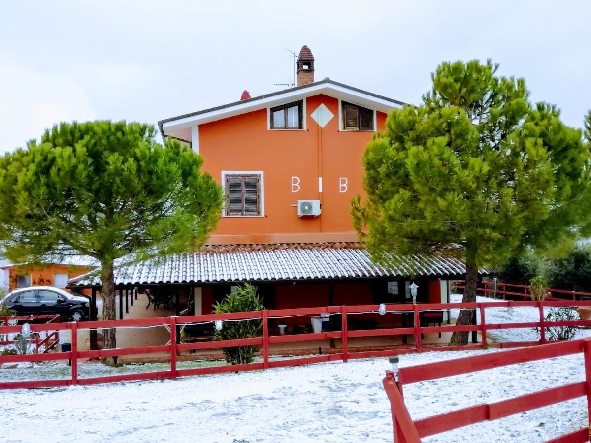 B&B Gli Amici Del Tubarello Roseto Degli Abruzzi Bagian luar foto