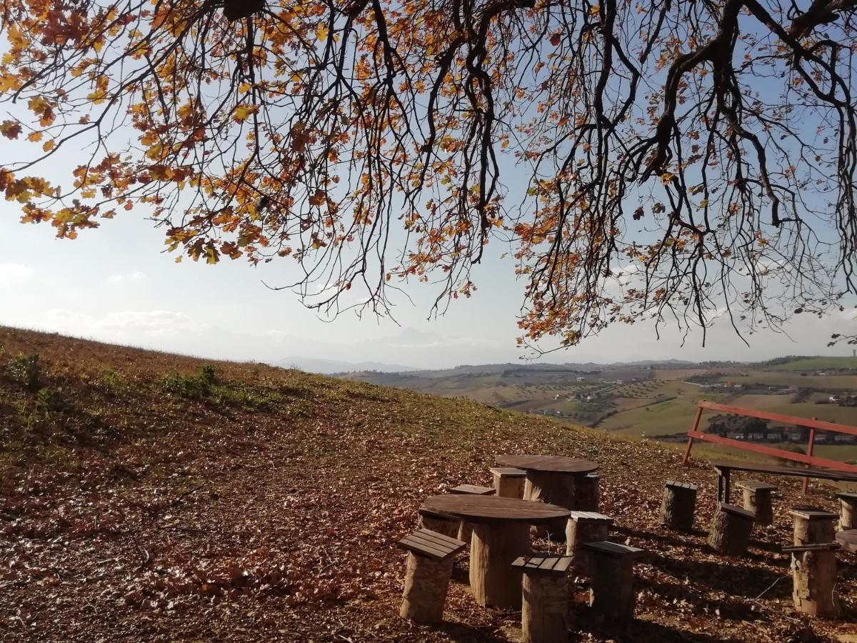 B&B Gli Amici Del Tubarello Roseto Degli Abruzzi Bagian luar foto