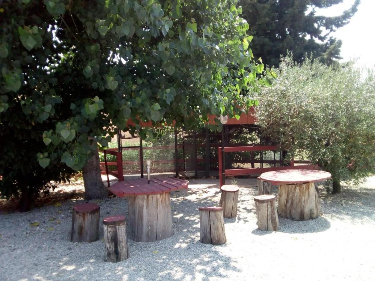 B&B Gli Amici Del Tubarello Roseto Degli Abruzzi Bagian luar foto