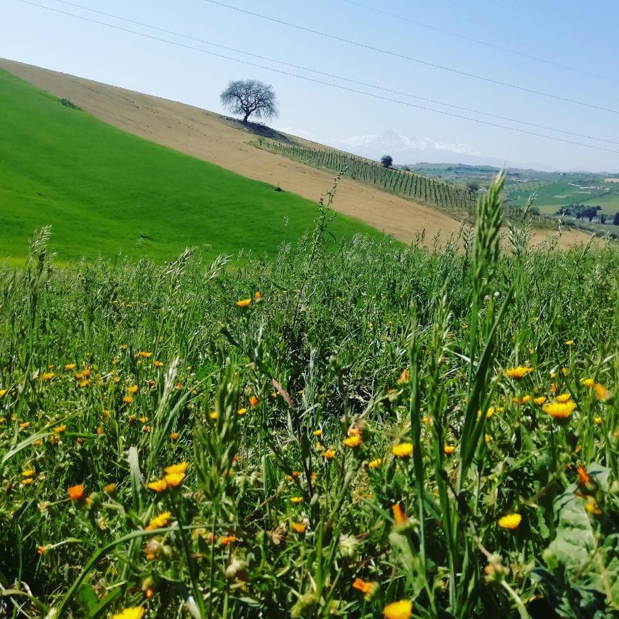 B&B Gli Amici Del Tubarello Roseto Degli Abruzzi Bagian luar foto