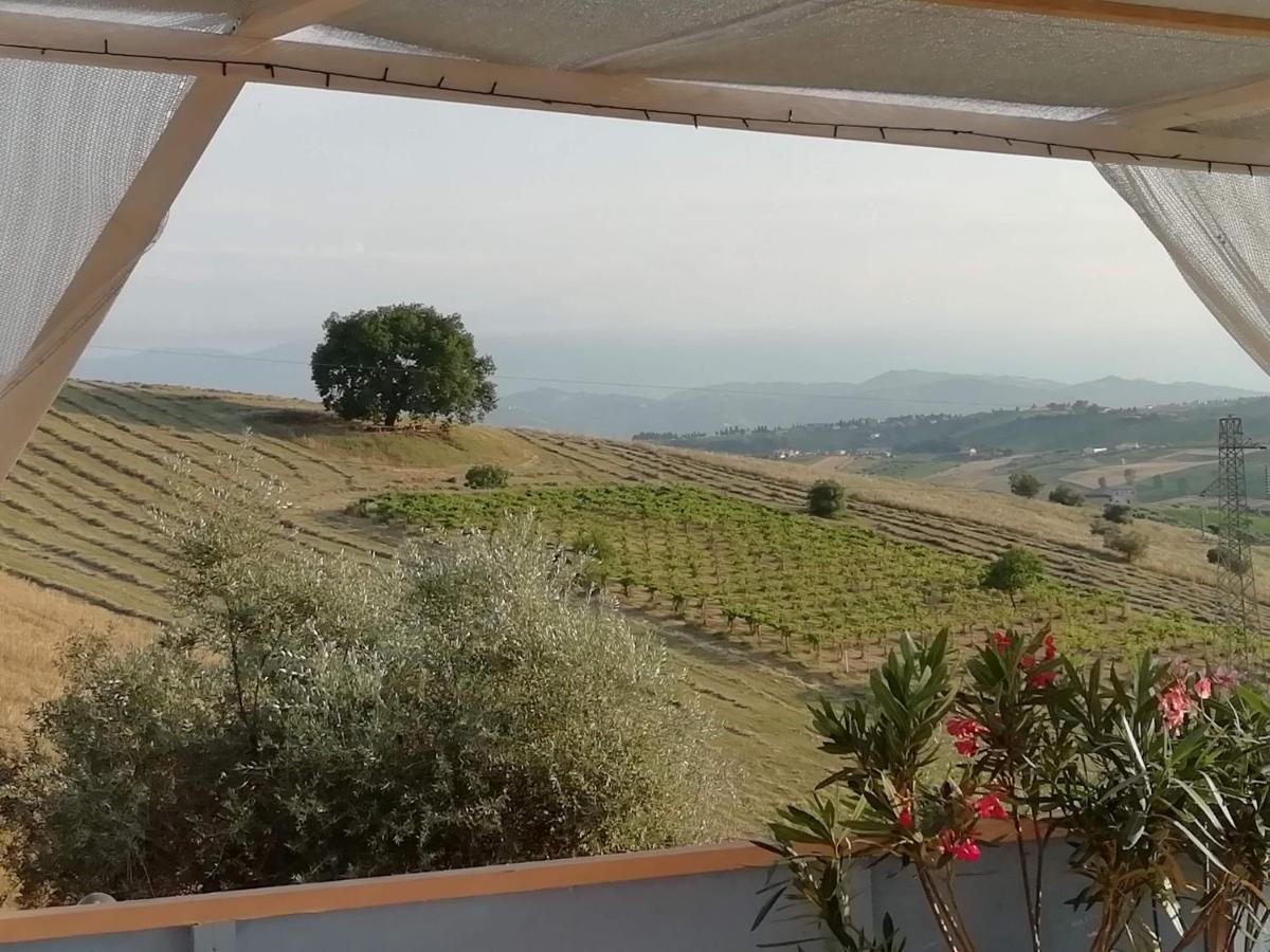 B&B Gli Amici Del Tubarello Roseto Degli Abruzzi Bagian luar foto