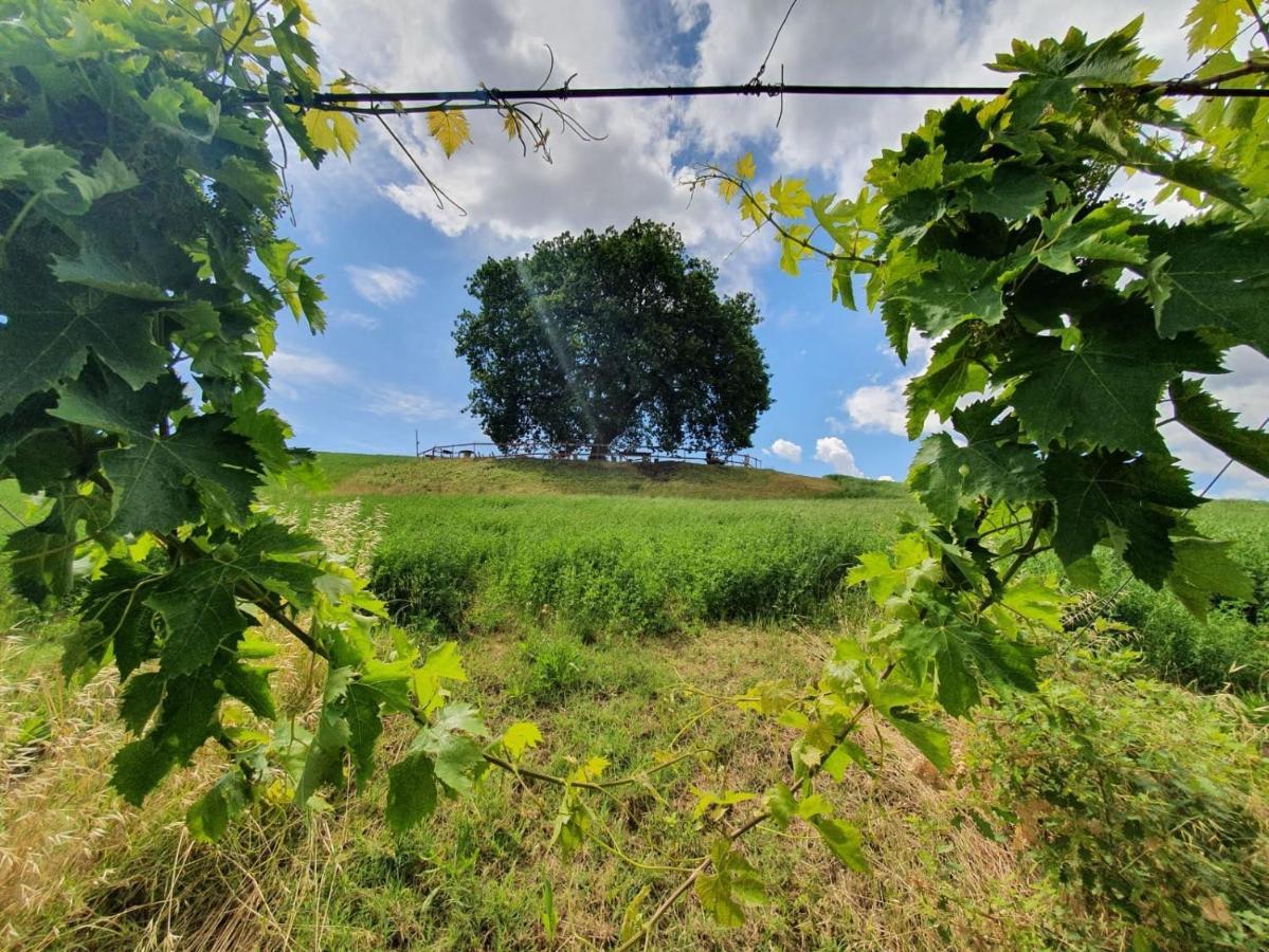 B&B Gli Amici Del Tubarello Roseto Degli Abruzzi Bagian luar foto