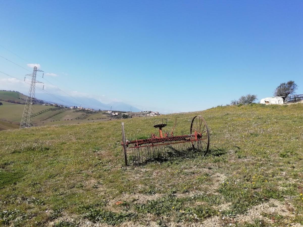 B&B Gli Amici Del Tubarello Roseto Degli Abruzzi Bagian luar foto