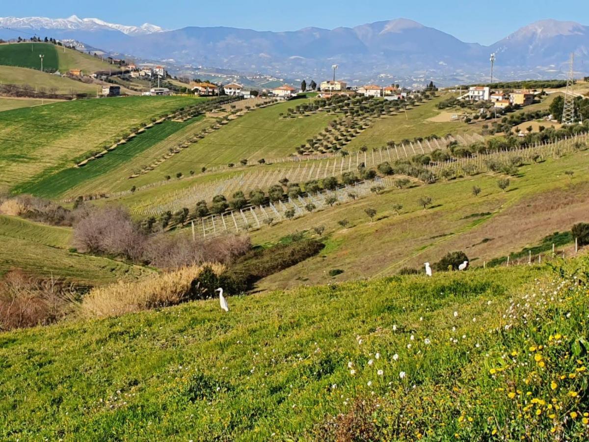 B&B Gli Amici Del Tubarello Roseto Degli Abruzzi Bagian luar foto