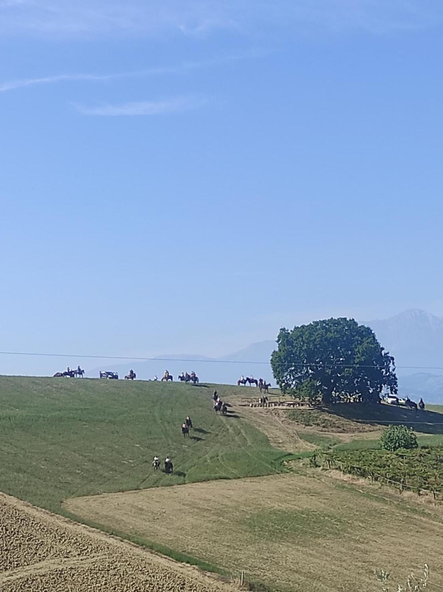 B&B Gli Amici Del Tubarello Roseto Degli Abruzzi Bagian luar foto