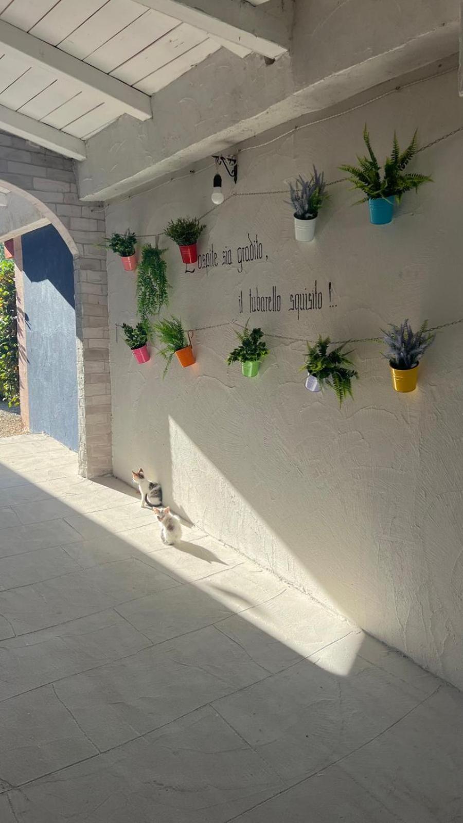 B&B Gli Amici Del Tubarello Roseto Degli Abruzzi Bagian luar foto