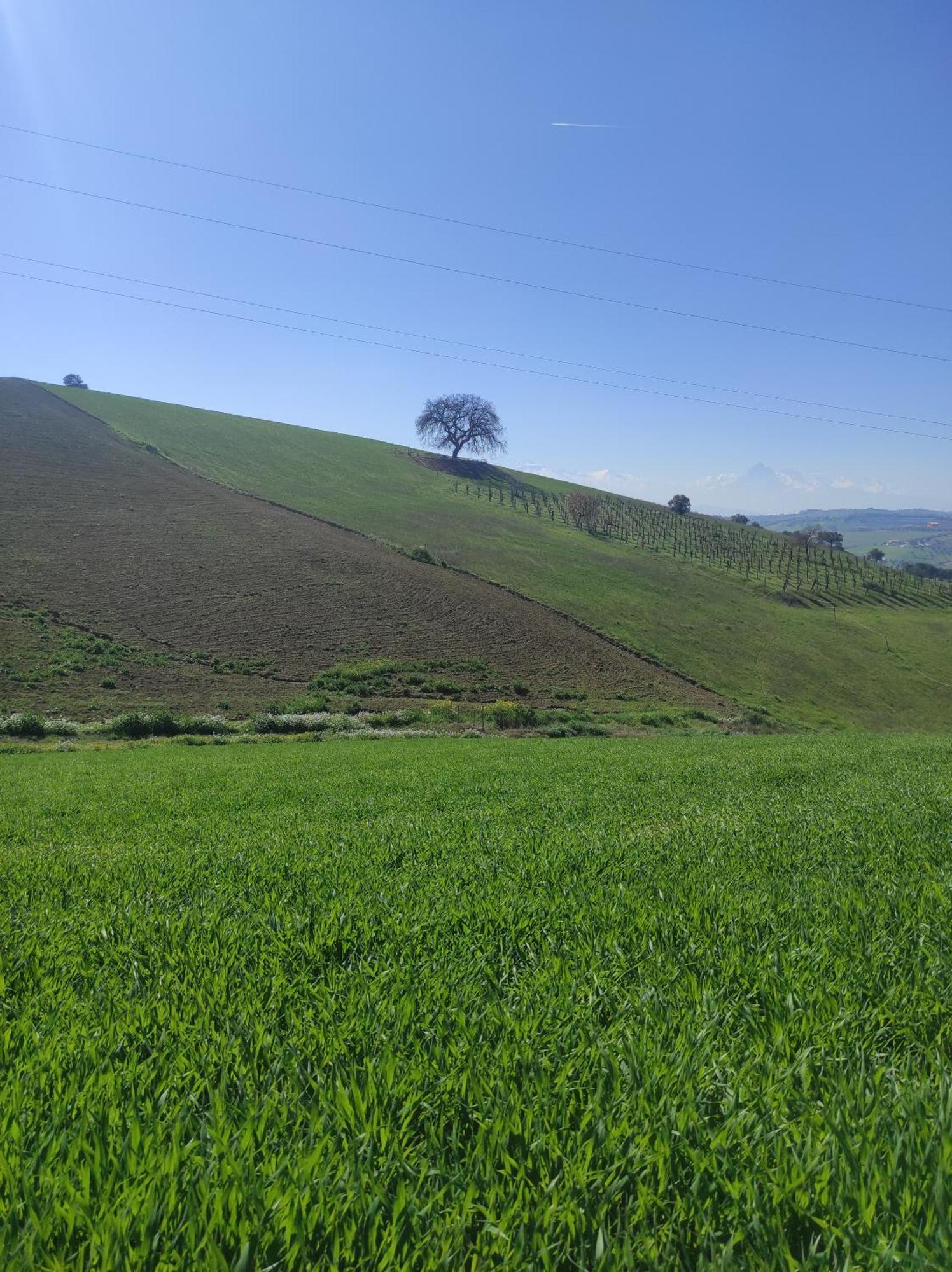 B&B Gli Amici Del Tubarello Roseto Degli Abruzzi Bagian luar foto